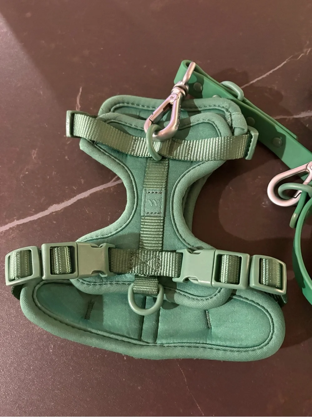 Wild One XS harness/leash set in color Spruce
